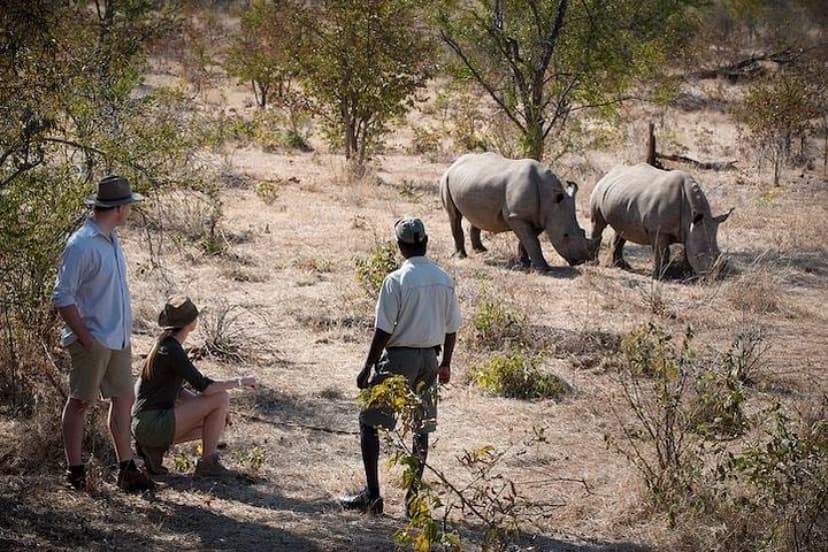 Rhino Walk Experience - Mosi-oa-Tunya Zambia experience image from Victoria Falls