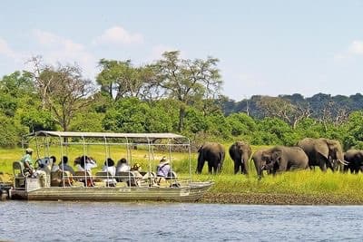 Chobe Full Day Experience Botswana experience image from Victoria Falls